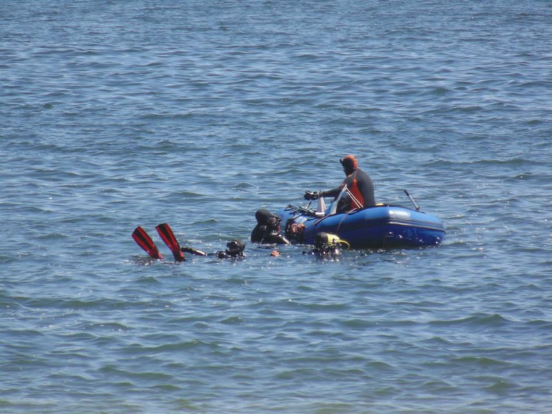 Fotografía 8 de Buceo en Caleta Chome, Hualpen Talcahuano en Concepcion, Bio Bio