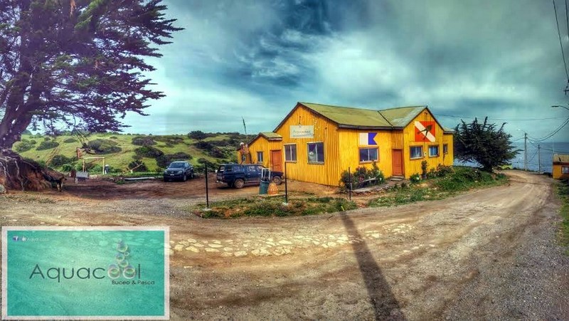 Fotografía 13 de Buceo en Caleta Chome, Hualpen Talcahuano en Concepcion, Bio Bio