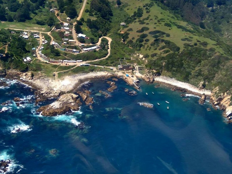Fotografía 17 de Buceo en Caleta Chome, Hualpen Talcahuano en Concepcion, Bio Bio