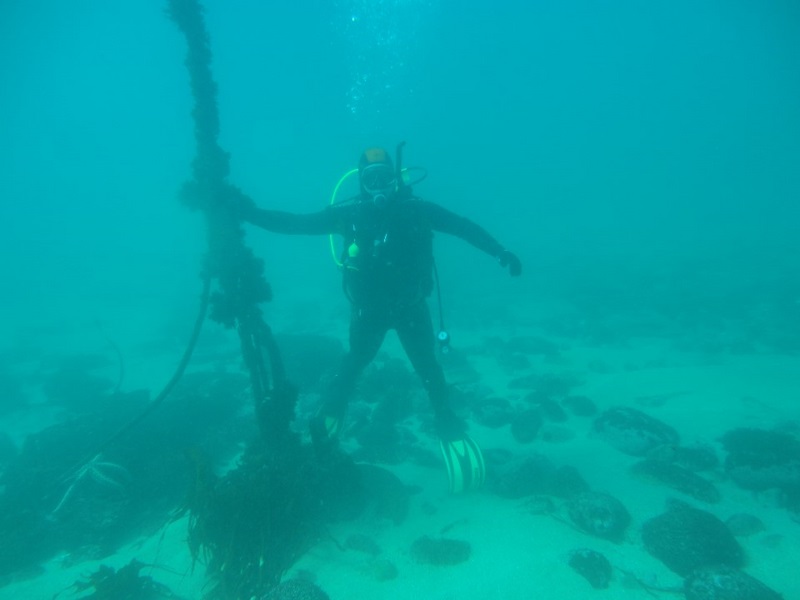Fotografía 3 de Buceo en Caleta Chome, Hualpen Talcahuano en Concepcion, Bio Bio