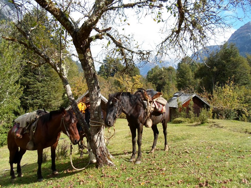Fotografía 18 de Cabalgatas Cochamo en Cochamo, Los Lagos