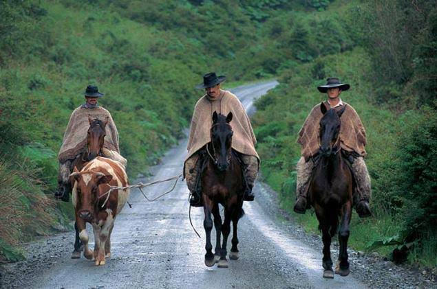 Fotografía 9 de Cabalgatas Patagonas en Cisnes, Aysen