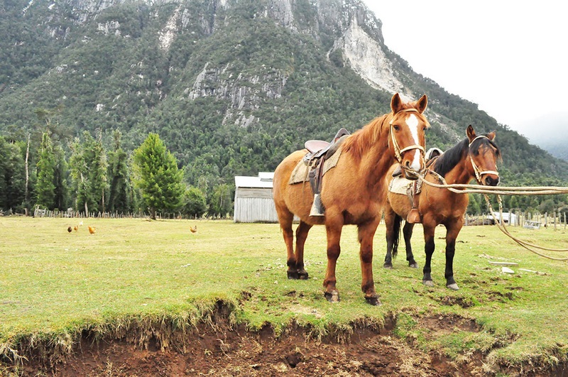 Fotografía 3 de Cabalgatas Patagonas en Cisnes, Aysen