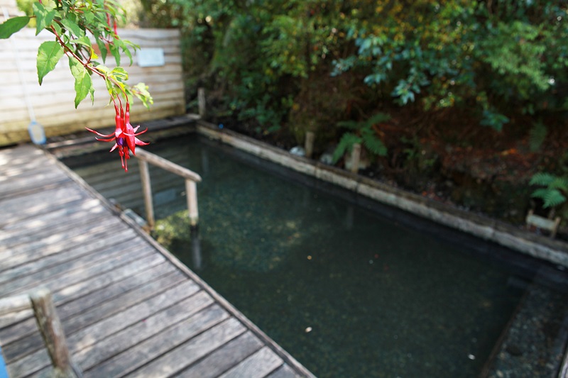 Fotografía 4 de Termas Patagonicas en Cisnes, Aysen