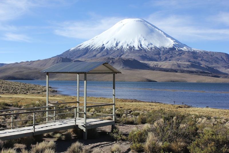 Fotografía 3 de Tour Lago Chungara en Arica, Arica Y Parinacota