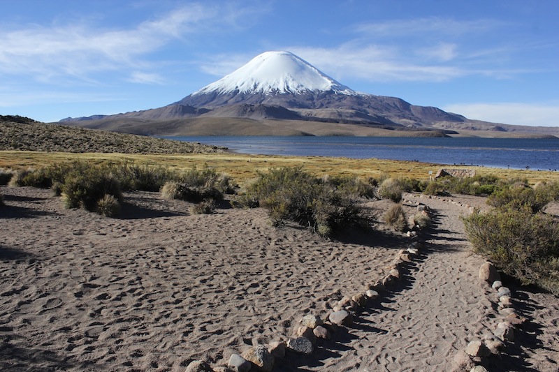 Fotografía 4 de Tour Lago Chungara en Arica, Arica Y Parinacota