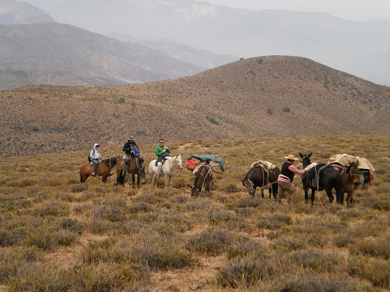 Fotografía 5 de Cabalgatas Cordillera de Los Andes V región en Viña Del Mar, Valparaiso