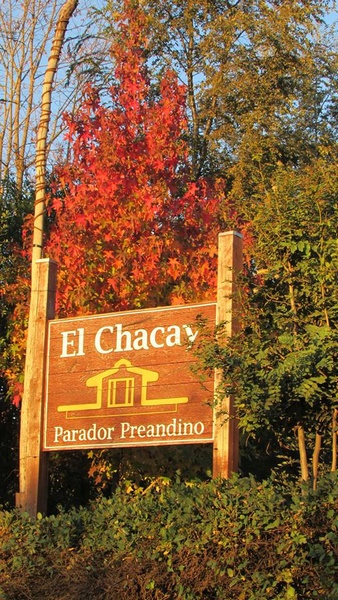 Fotografía 14 de Cafetería, Camping y Piscina en Pinto en Pinto, Bio Bio