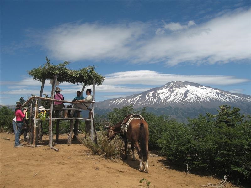 Fotografía 6 de cabalgatas y caminatas por nuestra ruta ansestrales en Alto Bio Bio, Bio Bio