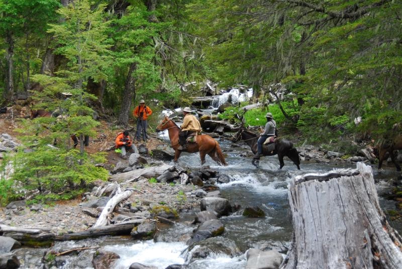 Fotografía 7 de cabalgatas y caminatas por nuestra ruta ansestrales en Alto Bio Bio, Bio Bio