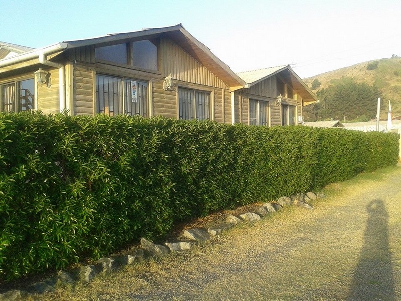 Fotografía 5 de Arriendo de Cabañas en Iloca en Licanten, Maule