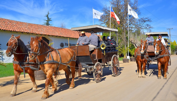Fotografía 18 de Tours de Vinos - Valle de Colchagua en Santa Cruz, Ohiggins