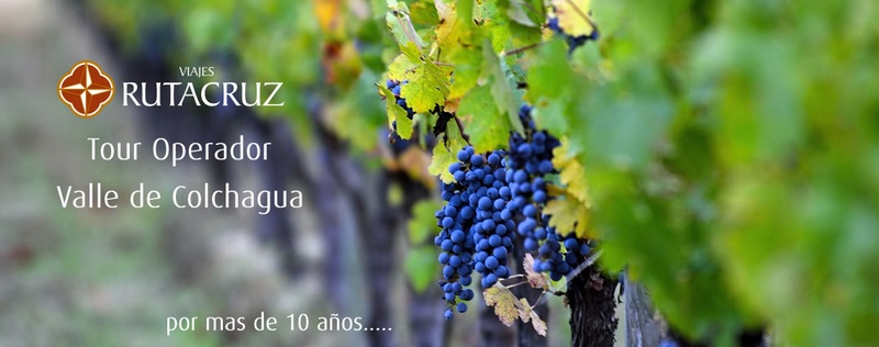 Fotografía 20 de Tours de Vinos - Valle de Colchagua en Santa Cruz, Ohiggins