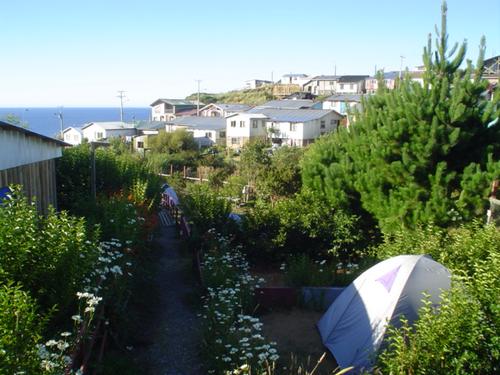 Fotografía 2 de Camping Familiar en Ancud, Chiloe en Ancud, Los Lagos