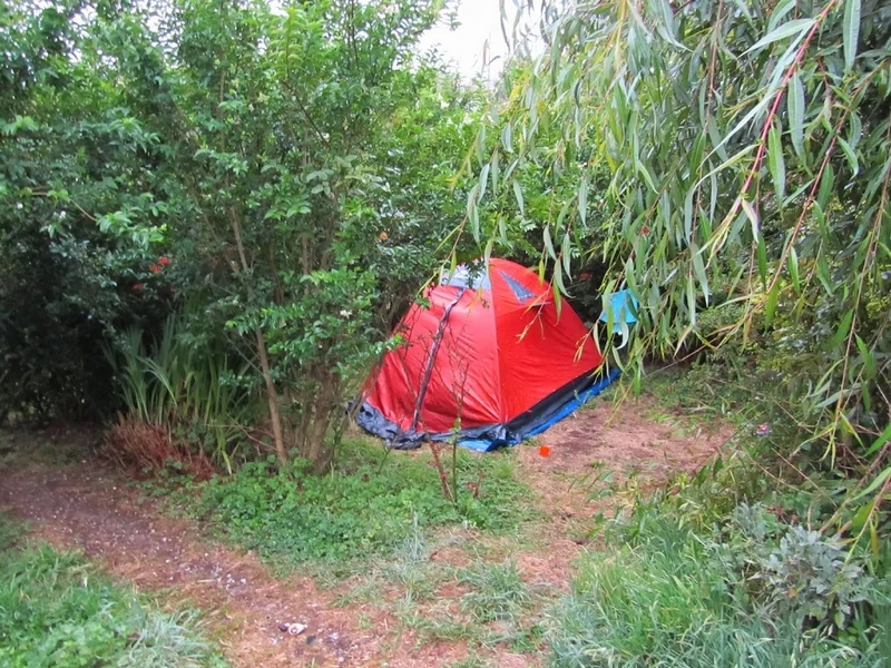 Fotografía 4 de Camping Familiar en Ancud, Chiloe en Ancud, Los Lagos