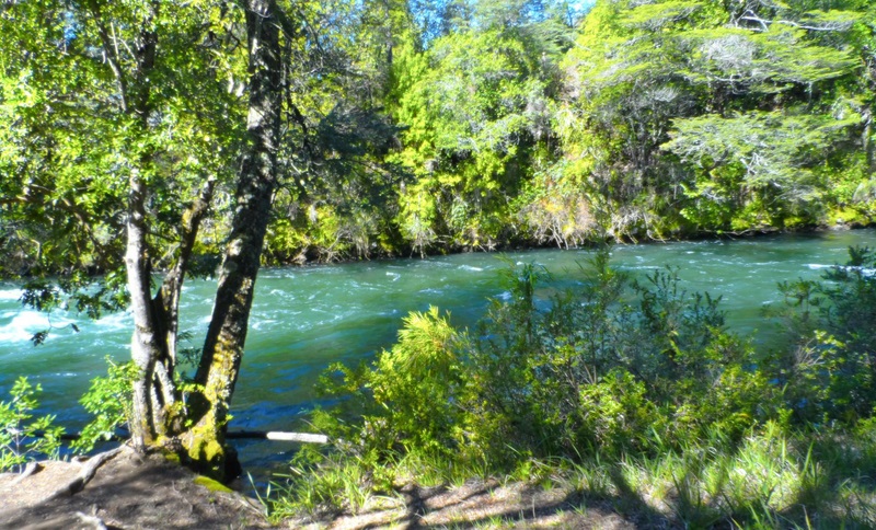 Fotografía 6 de Arriendo de Cabañas en Curacautin, Araucania