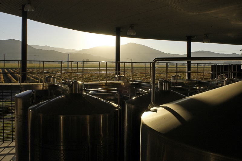 Fotografía 4 de Única Viña Chilena Especialista en Ensamblajes - Valle de Colchagua en Palmilla, Ohiggins