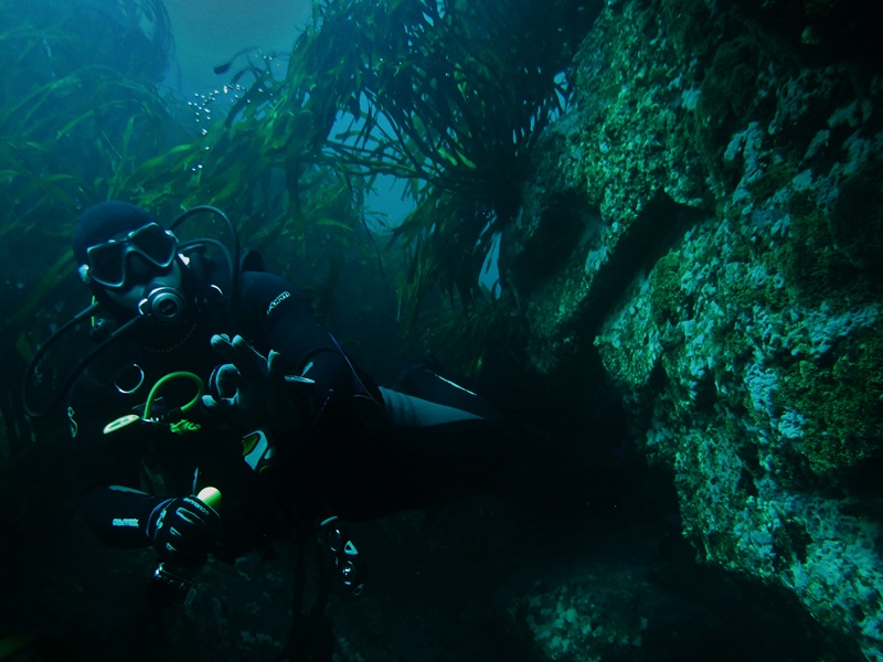 Fotografía 2 de Buceo en Pichidangui... conoce el Mantra de bucear junto a nosotros. en Los Vilos, Coquimbo