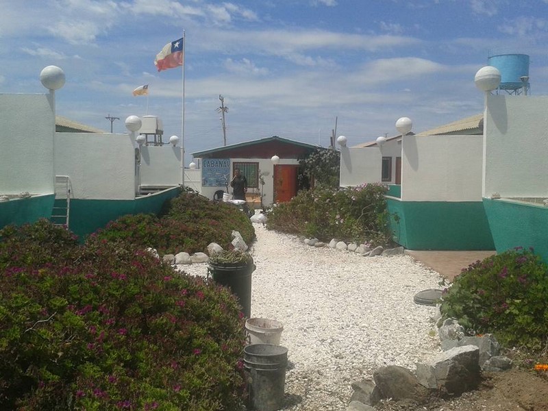 Fotografía 9 de Punta de Choros Alojamiento juvenil Piezas full equipadas pasos playa en La Higuera, Coquimbo