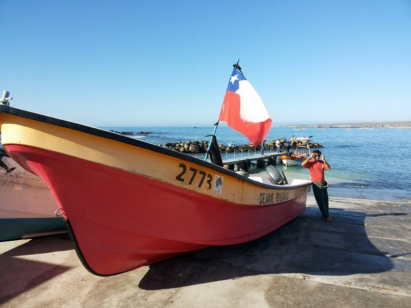 Fotografía 13 de Punta de Choros Alojamiento juvenil Piezas full equipadas pasos playa en La Higuera, Coquimbo