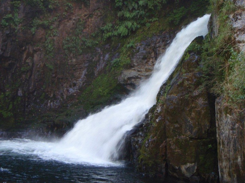 Fotografía 17 de Kila Tai Tai Lodge en Curarrehue, Araucania