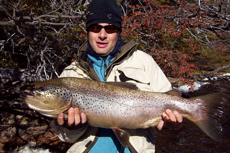 Fotografía 3 de Pesca con Mosca en Patagonia Aysen en Coyhaique, Aysen