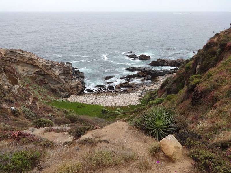 Fotografía 8 de Cabañas y Camping playa Caucau en Puchuncavi, Valparaiso