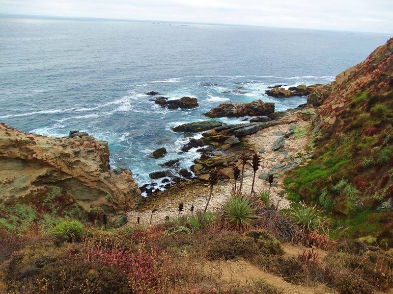 Fotografía 10 de Cabañas y Camping playa Caucau en Puchuncavi, Valparaiso