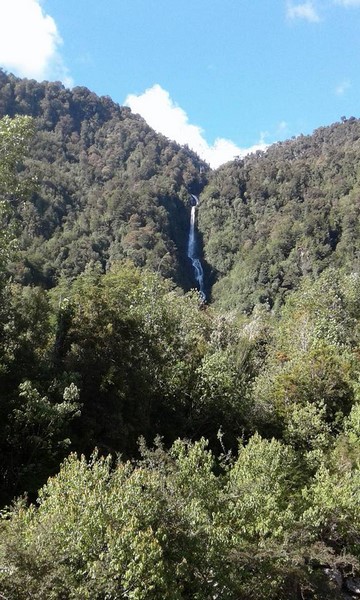 Fotografía 3 de Cabañas y Quincho Cordillera en Hornopiren en HUAILAHUE, Los Lagos