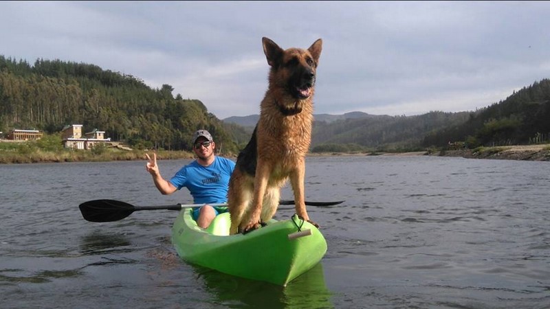 Fotografía 9 de Arriendo de Kayak en Pelluhue en Pelluhue, Maule
