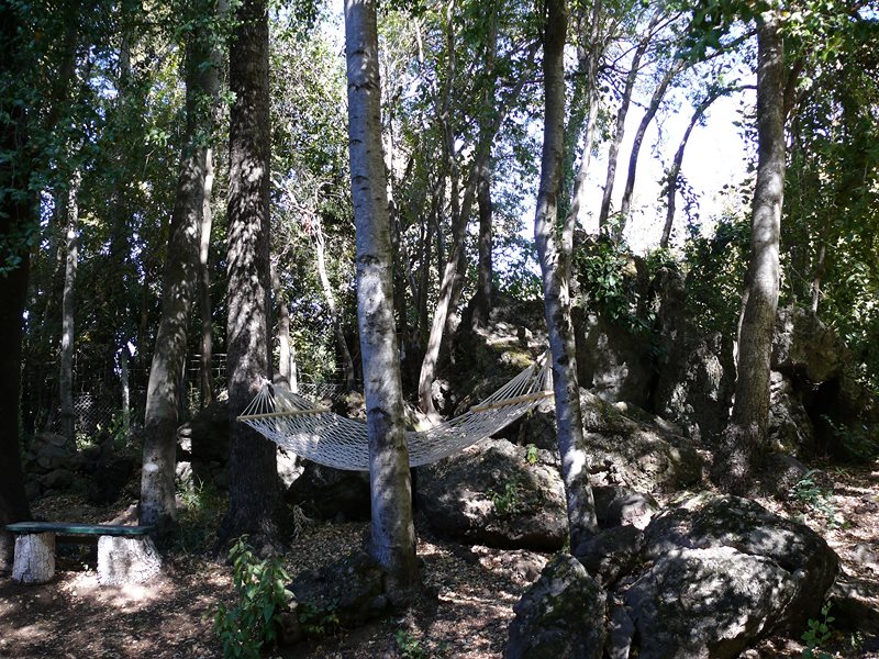 Fotografía 6 de Se arrienda Hermosa y Amplia Cabaña en Pinto, Bio Bio
