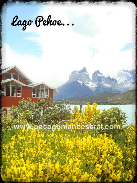 Fotografía 2 de Guía de Turismo y Conductor Guía Trilingue en Punta Arenas, Magallanes