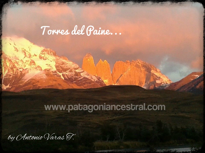 Fotografía 5 de Guía de Turismo y Conductor Guía Trilingue en Punta Arenas, Magallanes