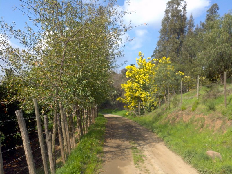 Fotografía 2 de Fundo el Grillo en Quillota, Valparaiso