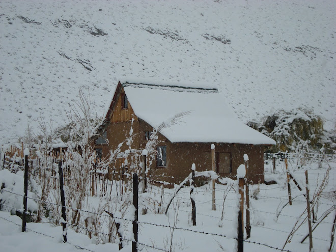 Cabaña Refugio Ecologico Alcohuaz Valle De Elqui en Coquimbo, Coquimbo