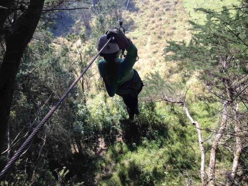 Fotografía 5 de Canopy y Rapel en Puyehue en Puyehue, Los Lagos