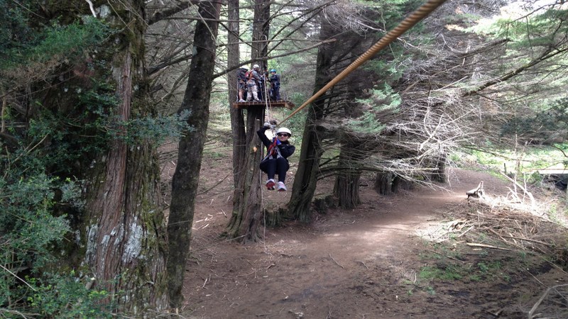 Fotografía 7 de Canopy y Rapel en Puyehue en Puyehue, Los Lagos