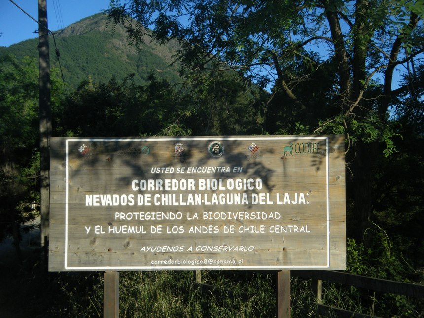 Fotografía 5 de Cabañas Favaron en San Fabian, Bio Bio
