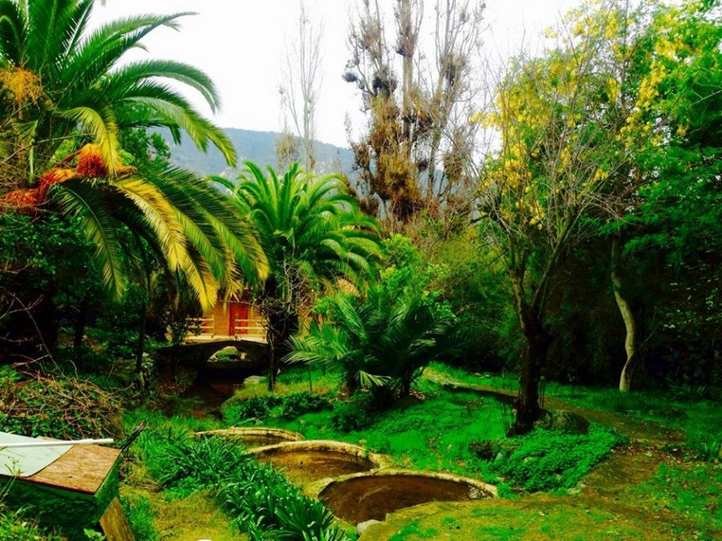 Fotografía 14 de Cabañas Rancho El Trebol / Olmue - Granizo en Olmue, Valparaiso