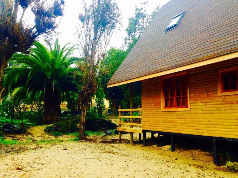 Fotografía 5 de Cabañas Rancho El Trebol / Olmue - Granizo en Olmue, Valparaiso