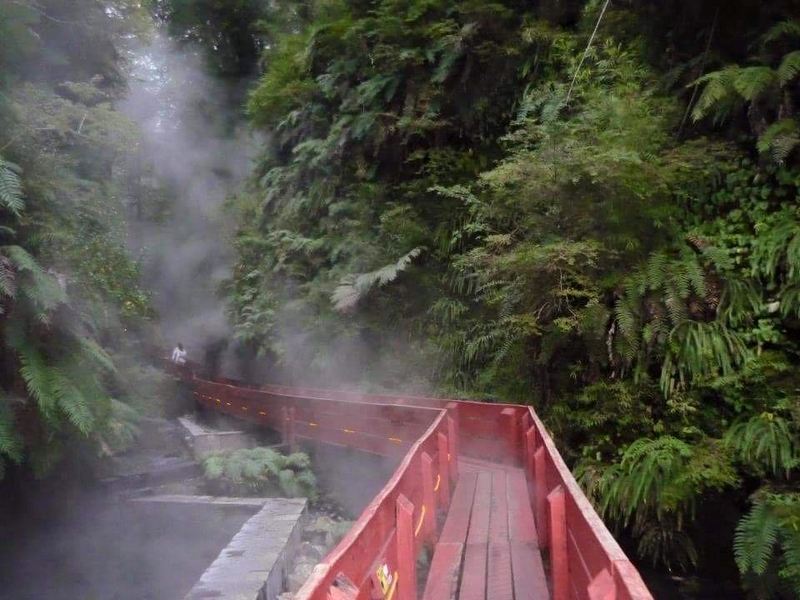 Tranfer Tour Volcanes del Sur en Villarrica, Araucania