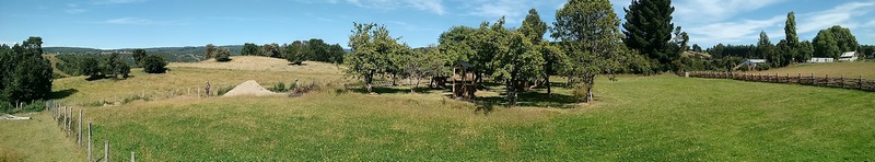 Fotografía 2 de Camping Turismo la Chacra en Castro, Los Lagos