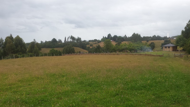Fotografía 3 de Camping Turismo la Chacra en Castro, Los Lagos