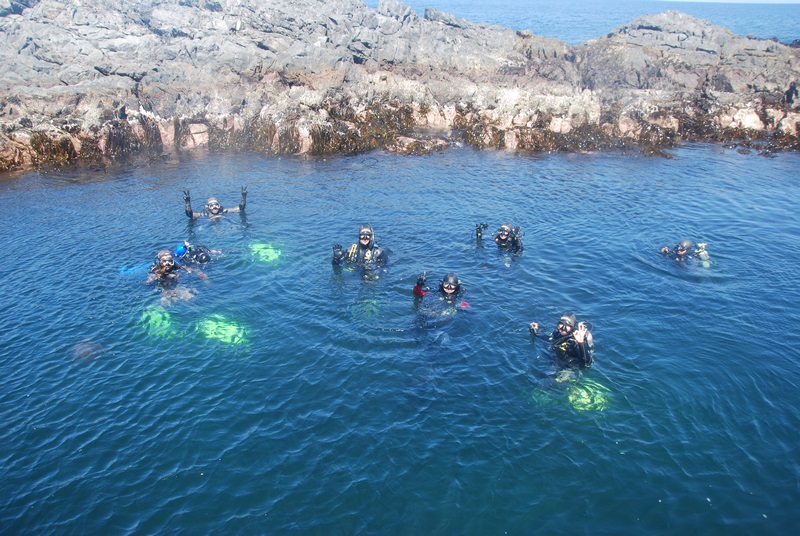 Fotografía 9 de Escuela de Buceo Sub-Aqua Antofagasta en Antofagasta, Antofagasta