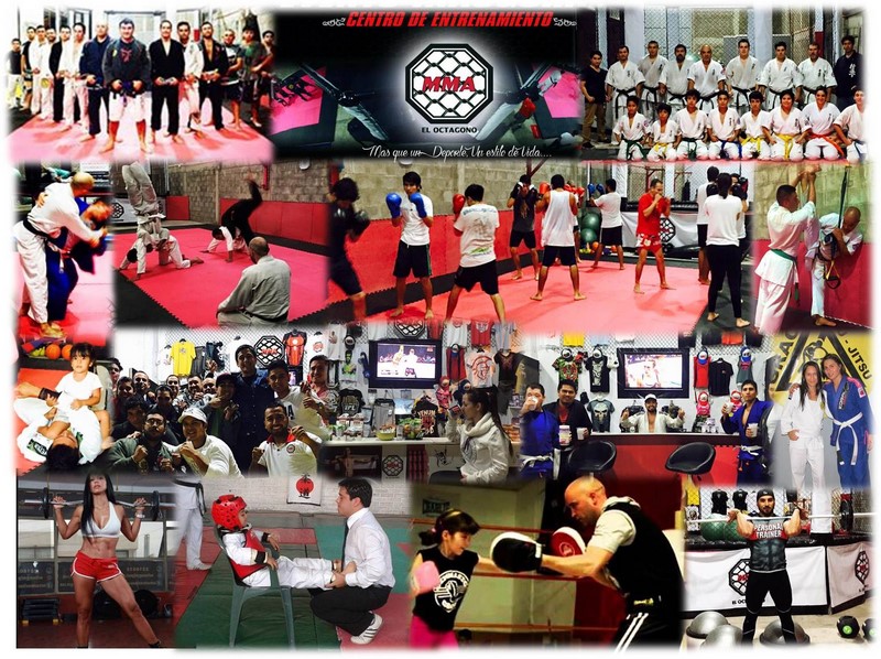Fotografía 9 de Centro de Entrenamiento de Artes Marciales en Iquique, Tarapaca