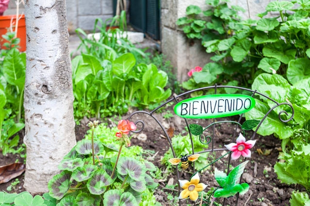Fotografía 7 de Bed&Breakfast Blumenhaus en Providencia, Metropolitana
