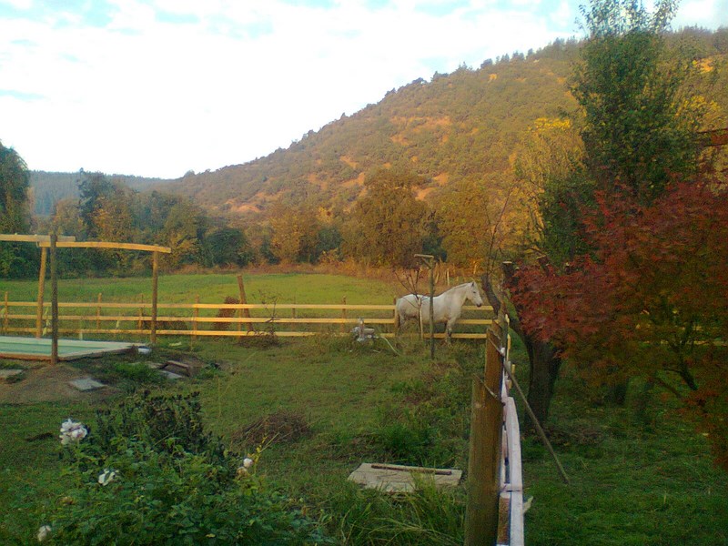 Fotografía 2 de Arriendo Cabañas y casa entorno campestre Altos del Lircay en San Clemente, Maule