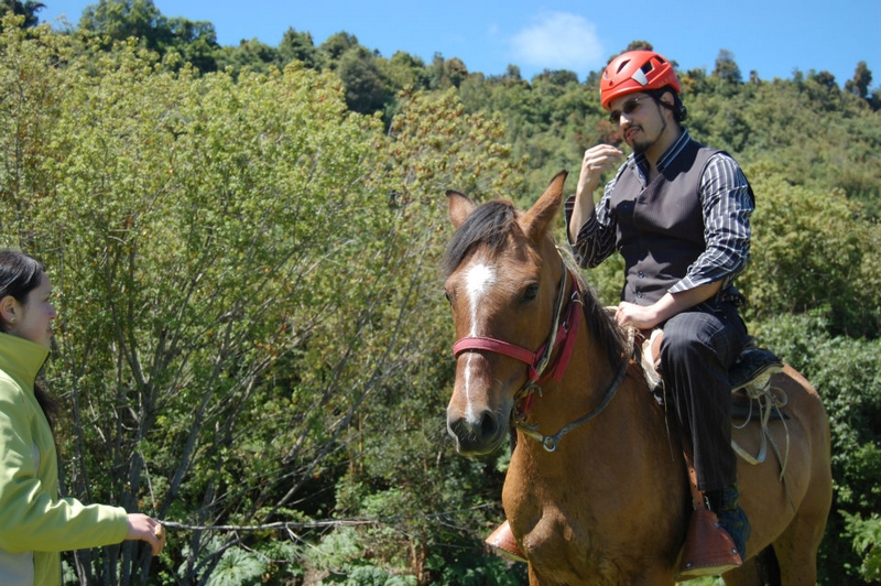 Fotografía 5 de SERVICIO NO DISPONIBLE en Puerto Montt, Los Lagos