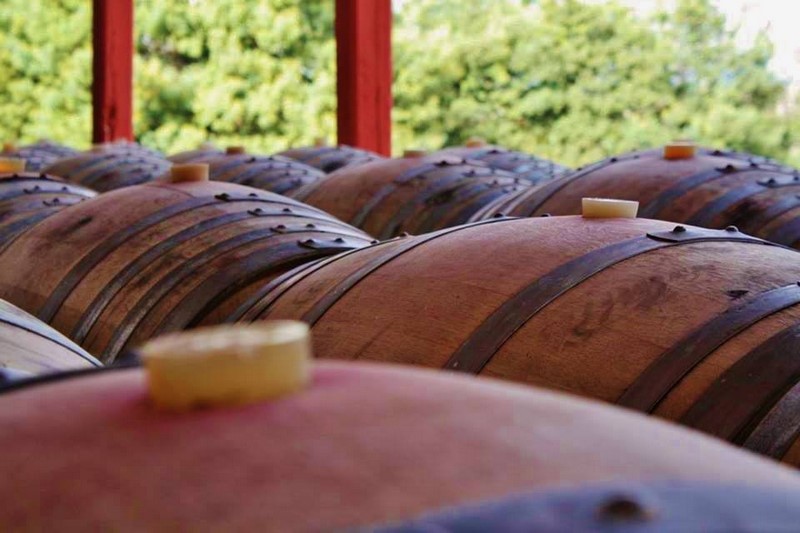 Fotografía 17 de Erasmo organic vineyard and winery en San Javier, Maule