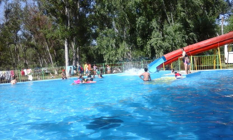 Fotografía 13 de Camping El Tríbol de Isla de Maipo  en Isla De Maipo, Metropolitana